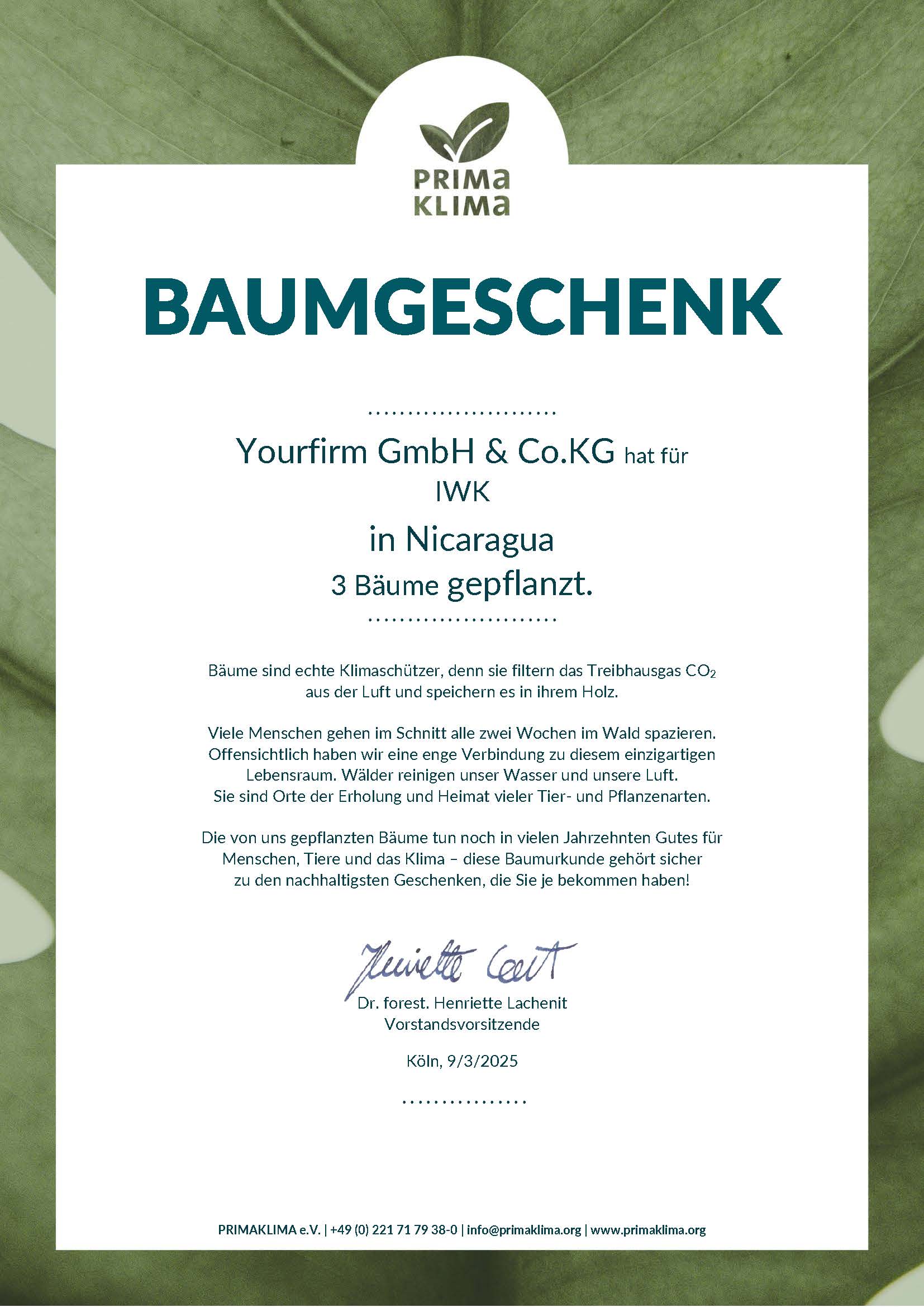 Urkunde der Firma Yourfirm  für die IWK als Dankeschön, das die IWK 3 Bäume in Nicaragua gepflanzt hat.